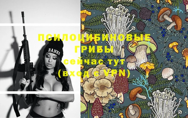 mdma Краснослободск