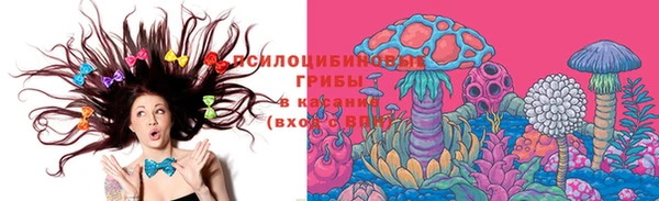 mdma Краснослободск