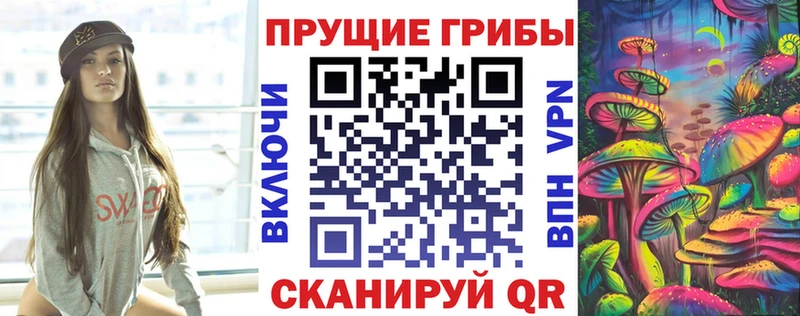 наркота  МЕГА маркетплейс  Псилоцибиновые грибы ЛСД  Новоалександровск 